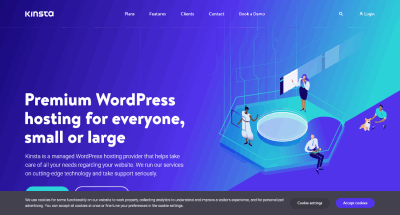Kinsta web hosting