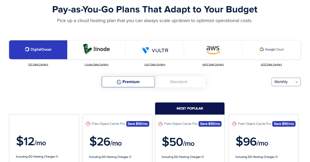 Cloudways WordPress hosting pricing