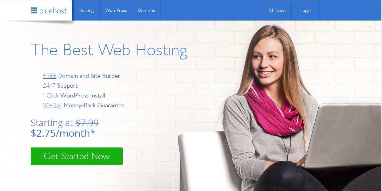 Bluehost Web Hosting